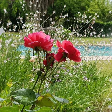 أدو Hopefield Country House المظهر الخارجي الصورة